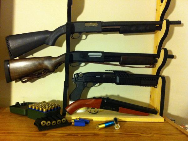 Shotgun family